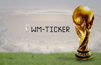 World Cup live ticker: Current news about the World...