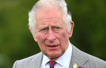 British Royals: King Charles pays employees energy...
