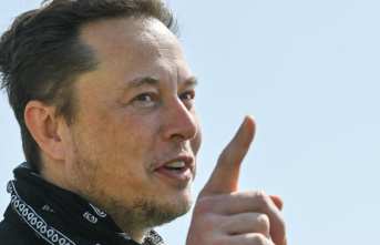 After waves of layoffs: Elon Musk is looking for new...