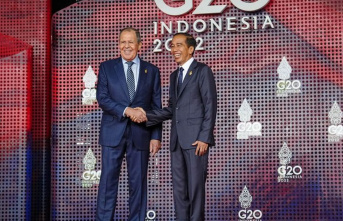 G20 summit in Bali: Russia's Foreign Minister...
