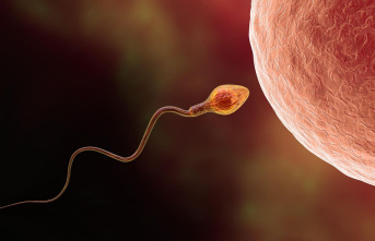 Men's health: The number of sperm is decreasing...