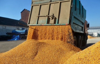 Conflicts: Agreement with Russia on Ukrainian grain...