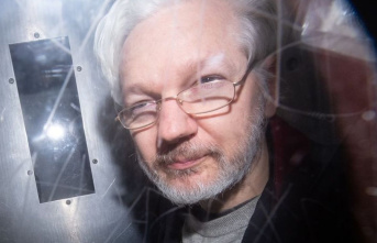 Human rights: media houses call for Assange not to...