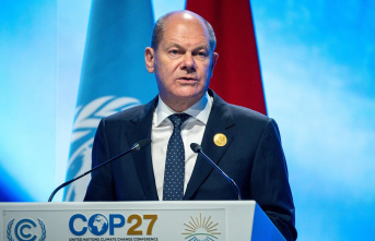 COP27 in Egypt: Chancellor Scholz at climate summit:...