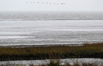 Environment: Wadden Sea neighbors agree on more climate...