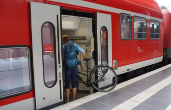 Transport industry: debate about free bicycle transport...