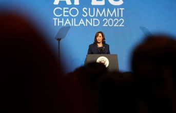 Summit in Thailand: Apec majority condemns Moscow