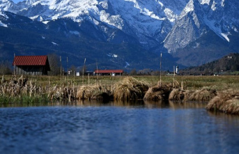 Bavaria: legal dispute over Garmisch meadows and world...