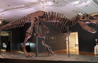 Hong Kong: Dinosaur skeleton set to sell at auction...