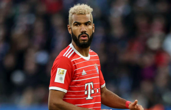 Clear edge from FC Bayern: No change from Choupo-Moting...