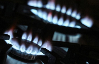 Energy price crisis: emergency aid for gas and district...