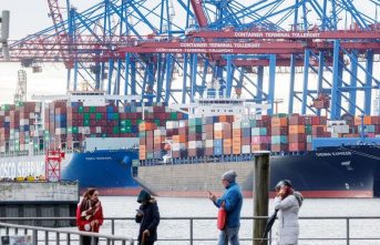 Shipping: Hamburg demands national port summit because...