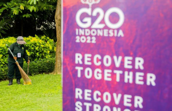 Economic powers: G20 summit in Bali: a divided world...