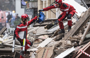 France: Two buildings in central Lille collapse