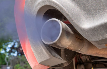 Exhaust gas fraud: Deutsche Umwelthilfe publishes...