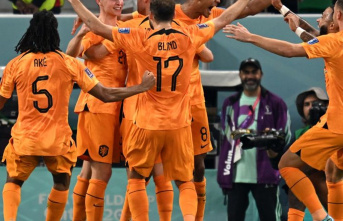 Football World Cup in Qatar: Oranje celebrates - little...