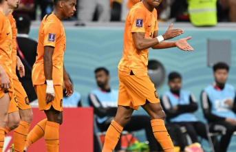 Soccer World Cup: Only Gakpo shines at Oranje - van...