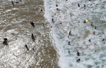 Bay of Plenty: Huge wave kills at least three people...