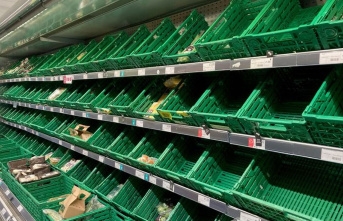 Food: British farmers warn of supply crisis