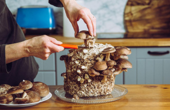 Gift Idea: Growing Mushrooms: How To Grow Your Own...