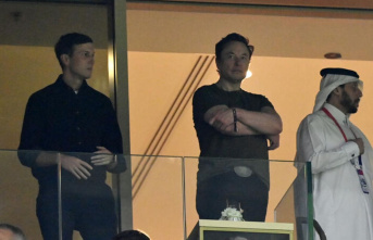 High visit: Elon Musk watches the World Cup final...