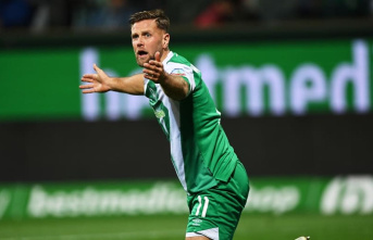Werder needs money: Füllkrug consultant fuels exchange...