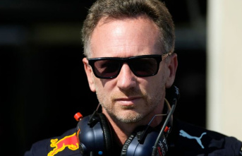 Formula 1: Red Bull team boss Horner on Vettel: "Special...