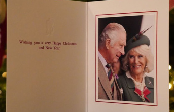 British Royals: Christmas card shows beaming Camilla...