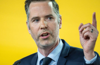 Energy: FDP parliamentary group leader wants debate...