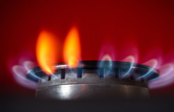 Energy crisis: Netzagentur: Households and industry...