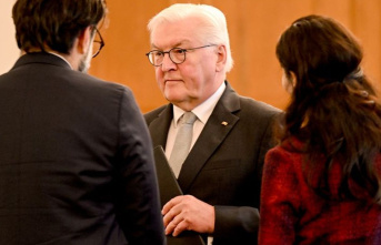 Human rights: Steinmeier: Hold those responsible in...