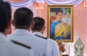 Bajrakitiyabha Mahidol: Thai princess hospitalized...