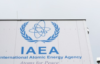 Experts from the International Atomic Energy Agency...