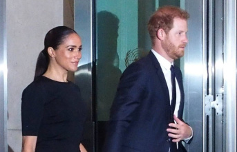 President resigns: Harry and Meghan run the foundation...