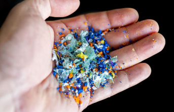 Health risk from microplastics: not only in the oceans:...