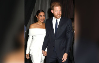 Prince Harry and Duchess Meghan: The couple is back...