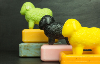 Gentle care: What actually is sheep's milk soap...
