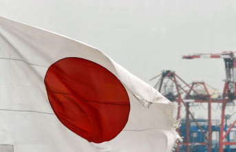 Economy: Japan's industrial production falls...