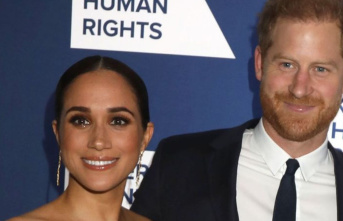 Royals: Harry and Meghan: Award for commitment against...