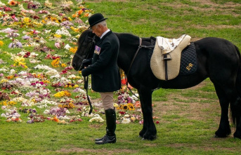 The Queen's favorite pony: Emma is voted "Horse...