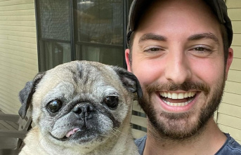 Noodle: Well-known TikTok pug died