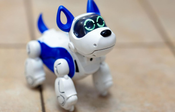 Interactive Toys: Robot Dogs for Kids: These features...