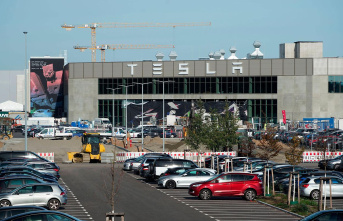 Grünheide: New trouble for Tesla in Brandenburg:...