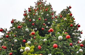 Tradition: The Christmas tree is increasingly becoming...