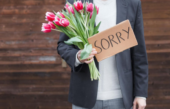 Six tips: "I'm sorry, but...": What...