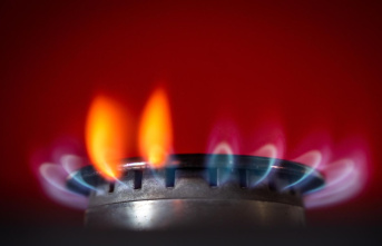 Natural gas: EU cuts gas consumption by 20 percent...