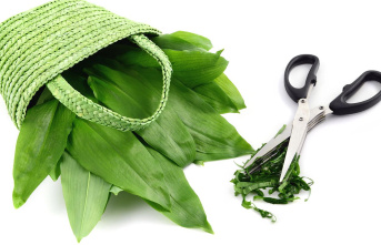 Quick help: How herb scissors should make chopping...