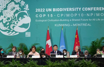 Conservation: World Nature Summit in Canada is on...