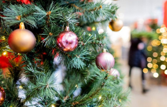 Sustainability: Climate: Which Christmas tree is the...
