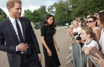 Netflix documentary: Prince Harry: Meghan would have...